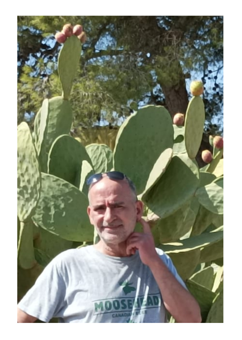 John Trainor - Founder of Roniart Web Design