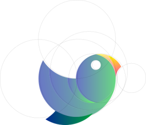 a colorful bird on a black background